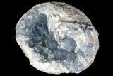 Sky Blue Celestine (Celestite) Geode - (Large Crystals) #156502-3